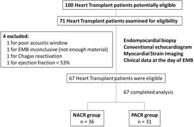 Acute Cellular Rejection in Heart Transplant Patients: Insights of Global Longitudinal Strain, Myocardial Work, and an Exclusive Group of Chagas Disease